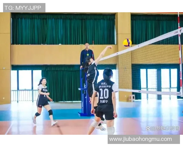 南京排球队在全国排球比赛经验排行榜中荣获第三名的辉煌成就